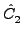 $ \hat{C}_{2}^{}$