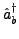 $\displaystyle \hat{a}_{b}^{\dagger}$