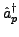 $\displaystyle \hat{a}_{p}^{\dagger}$