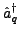 $\displaystyle \hat{a}_{q}^{\dagger}$