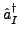 $\displaystyle \hat{a}_{I}^{\dagger}$