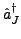 $\displaystyle \hat{a}_{J}^{\dagger}$
