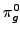 $ \pi_{g}^{0}$